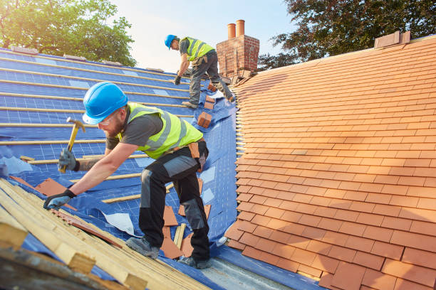 Best Roof Restoration  in Dumfries, VA